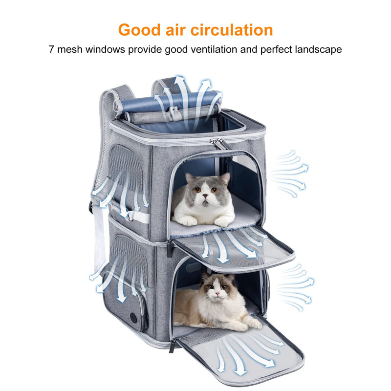Twin cat carrier cheap